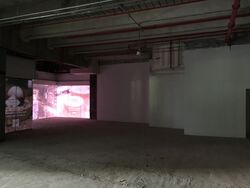 Grand Hyatt Singapore (D9), Shop House #441849681